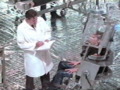 ep4_initiative_walsh.jpg (63266 Byte)