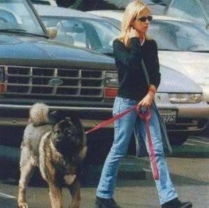 Buffy · Darsteller