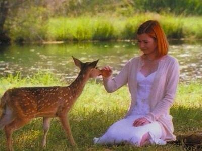 Willow